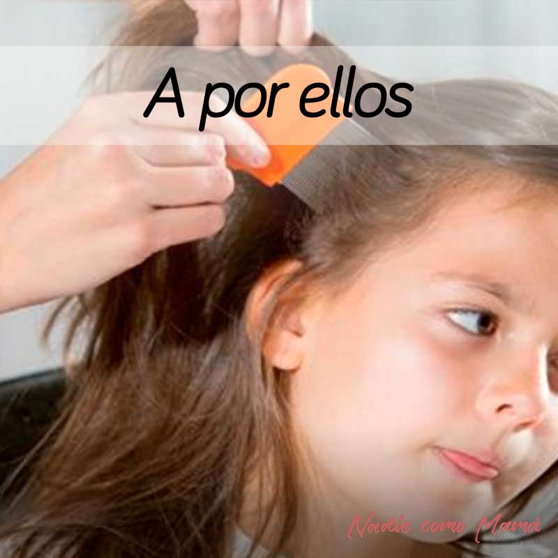 eliminar piojos liendres