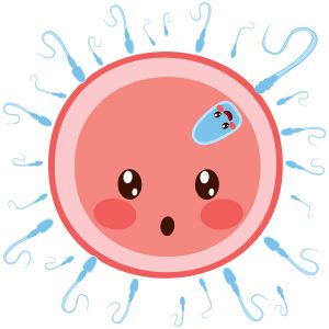 portada sangrado por implantación